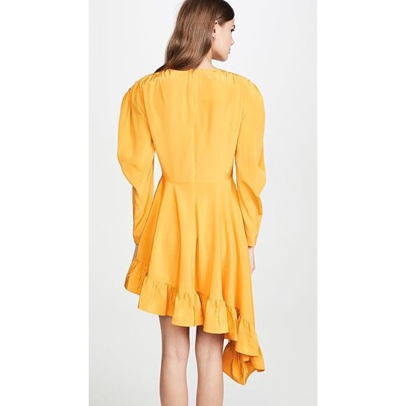 pushBUTTON Silk Dress  - Picture 3 of 12